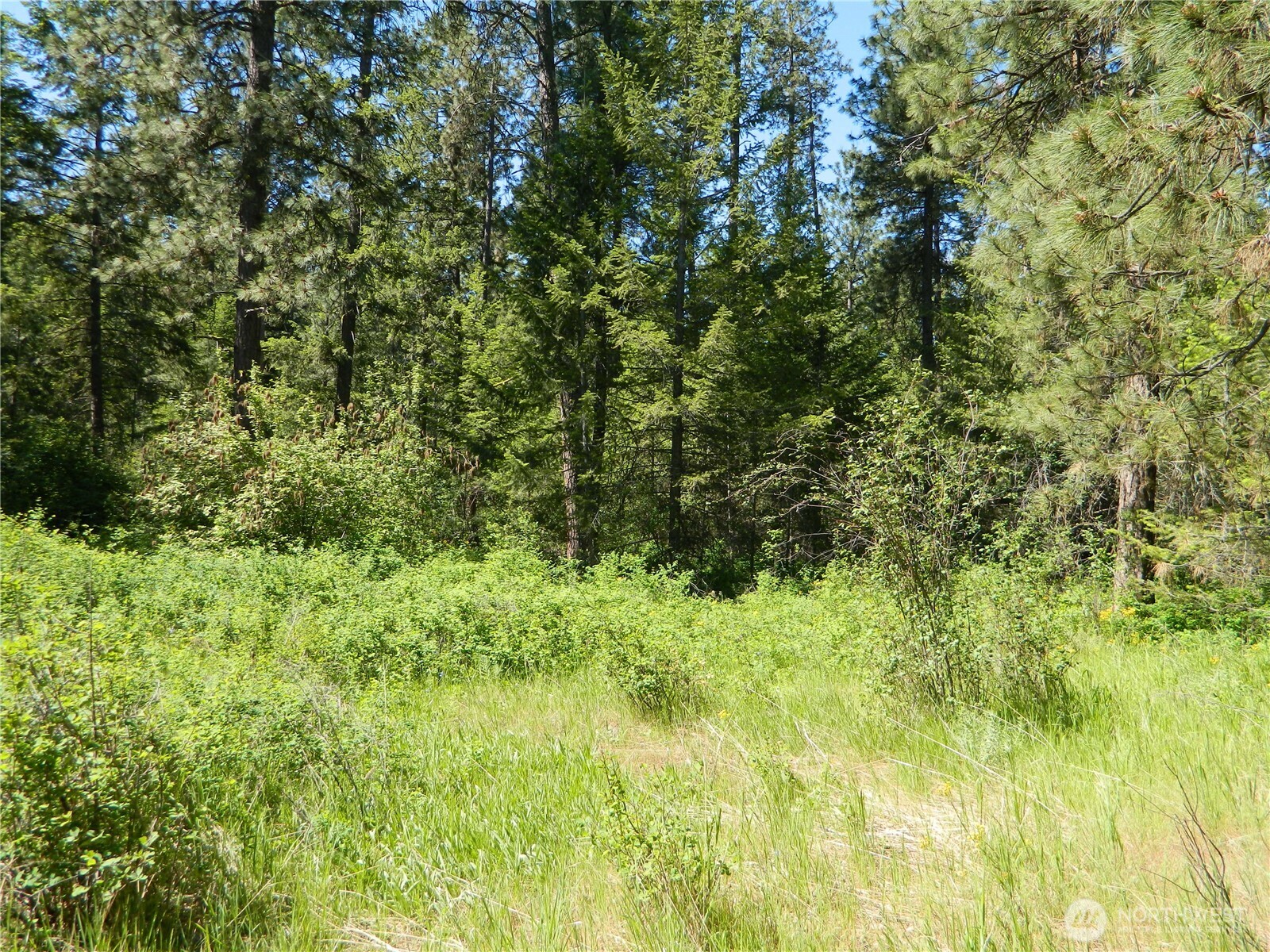 111 Tbd Murphy Ranch Road Tonasket, WA 98855 - Photo 10 of 12 a view of a garden