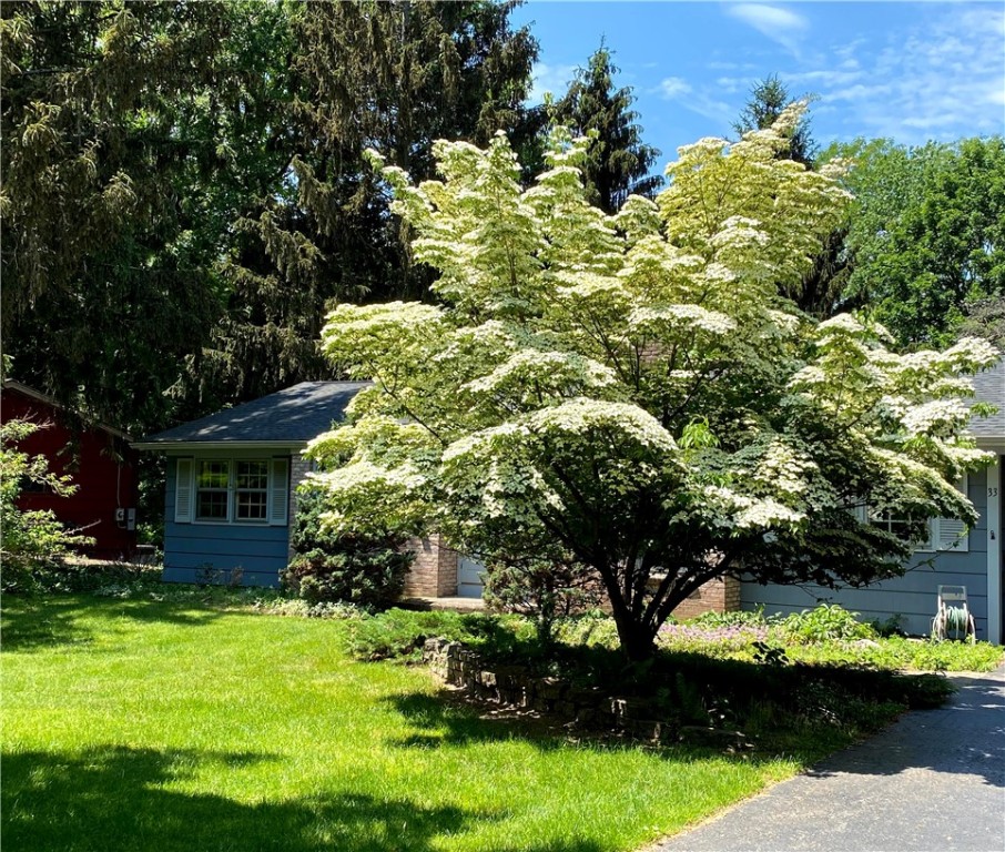 33 Bittersweet Road Perinton, NY 14450 - Photo 4 of 27