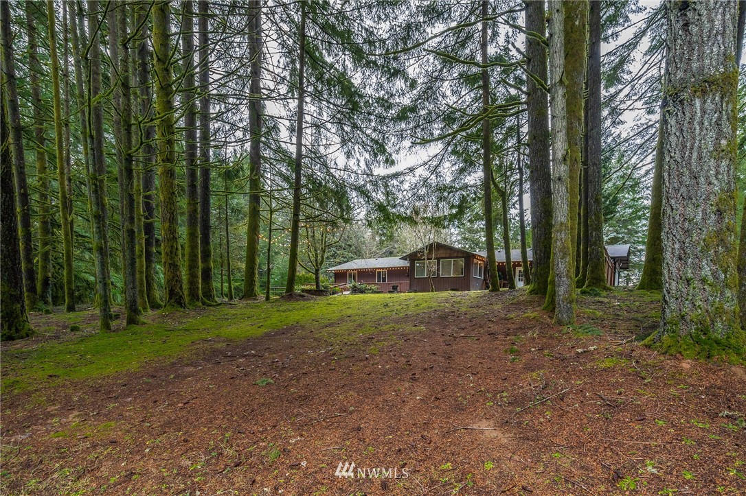 191 Tingle Road Winlock, WA 98596 - Photo 3 of 39 a dirt road with trees in the background