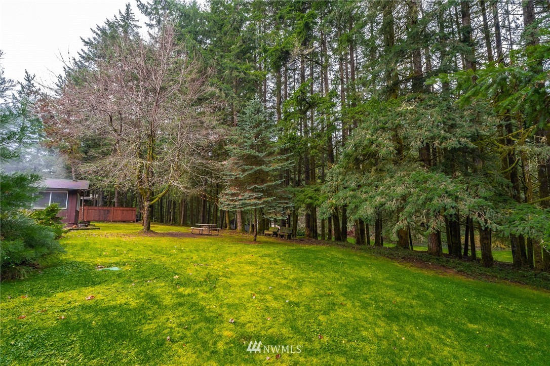 191 Tingle Road Winlock, WA 98596 - Photo 33 of 39 a view of a park with large trees