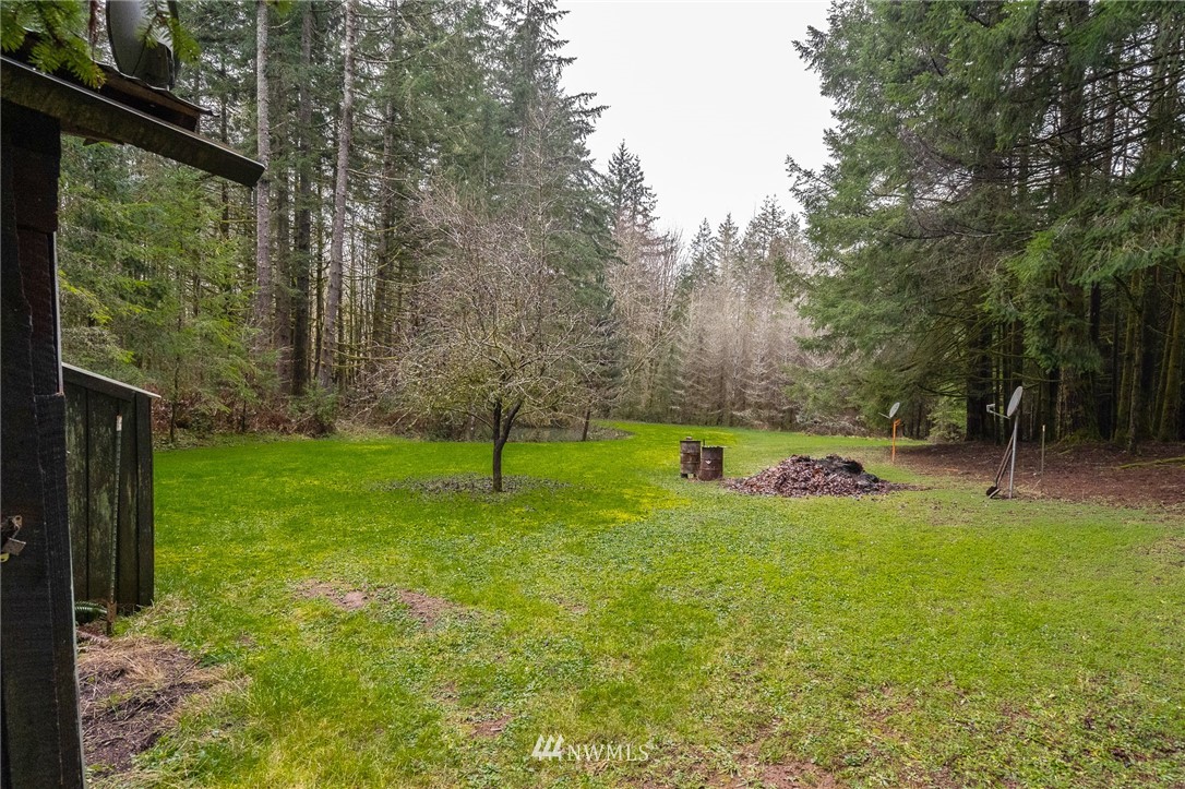 191 Tingle Road Winlock, WA 98596 - Photo 34 of 39 a view of a park with large trees