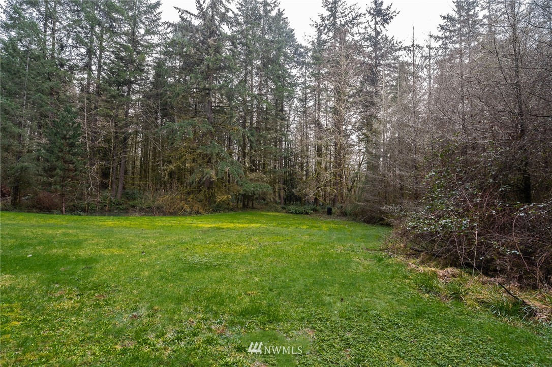 191 Tingle Road Winlock, WA 98596 - Photo 35 of 39 a view of a yard with a trees