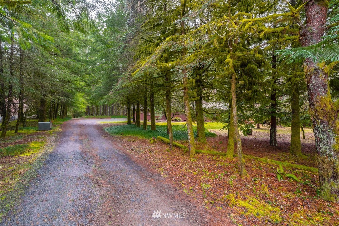 191 Tingle Road Winlock, WA 98596 - Photo 37 of 39 a view of a park with tree s