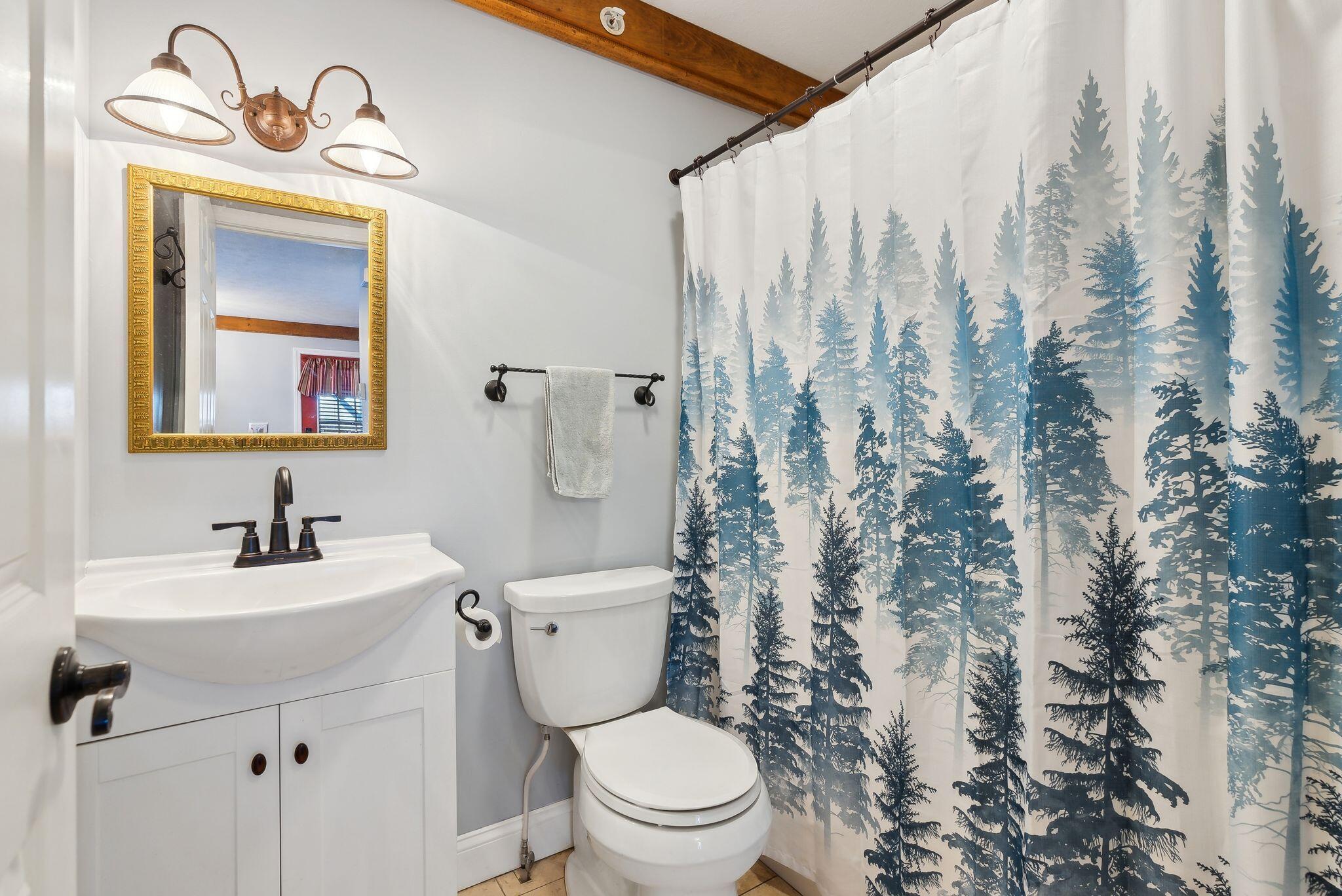 238 Granny Kent Pond Road Shapleigh, ME 04076 - Photo 17 of 53 1st floor bath