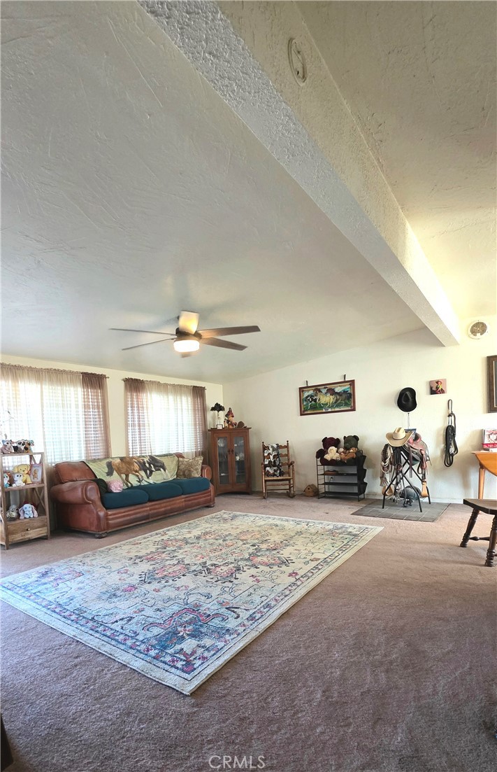 47527 Silver Valley Road Newberry Springs, CA 92365 - Photo 11 of 70