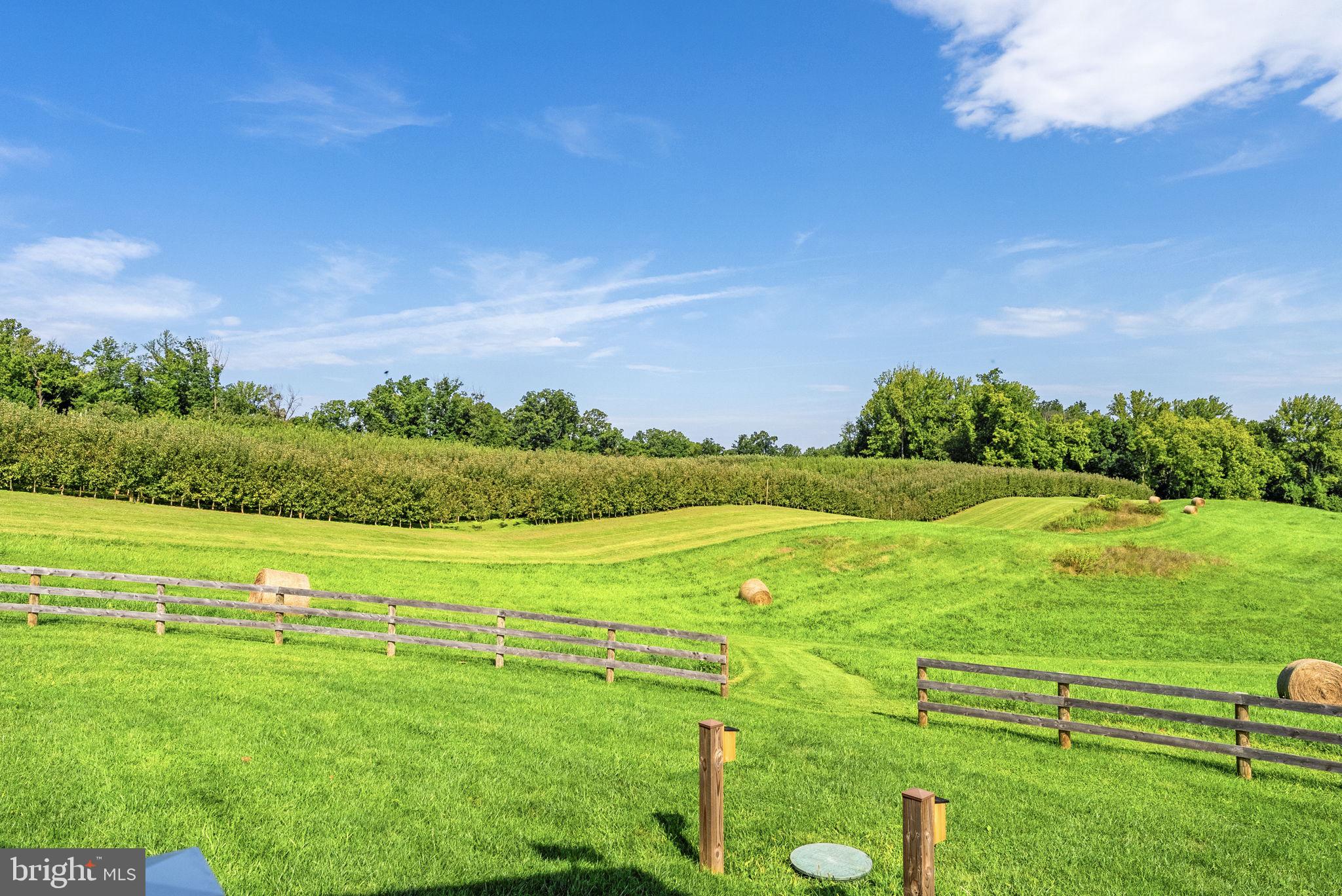 9470 Maidstone Road Delaplane, VA 20144 - Photo 43 of 80 Gallery Image 43