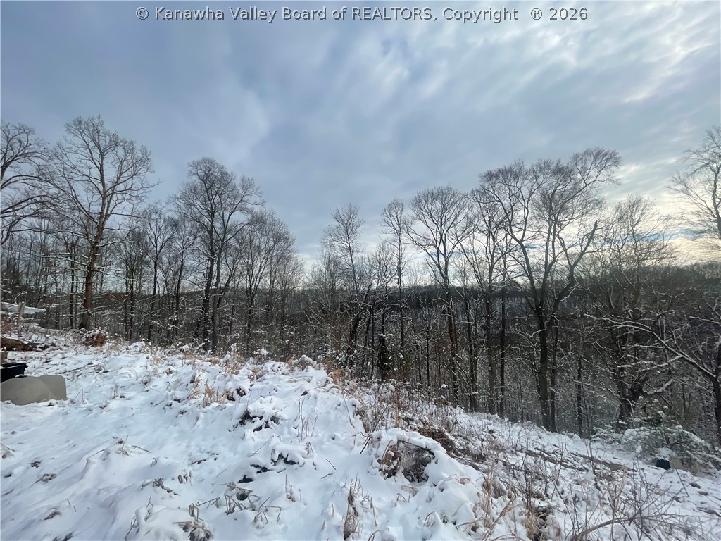 0 Grouse Ridge Sumerco, WV 25567 - Photo 6 of 17 Gallery Image 6