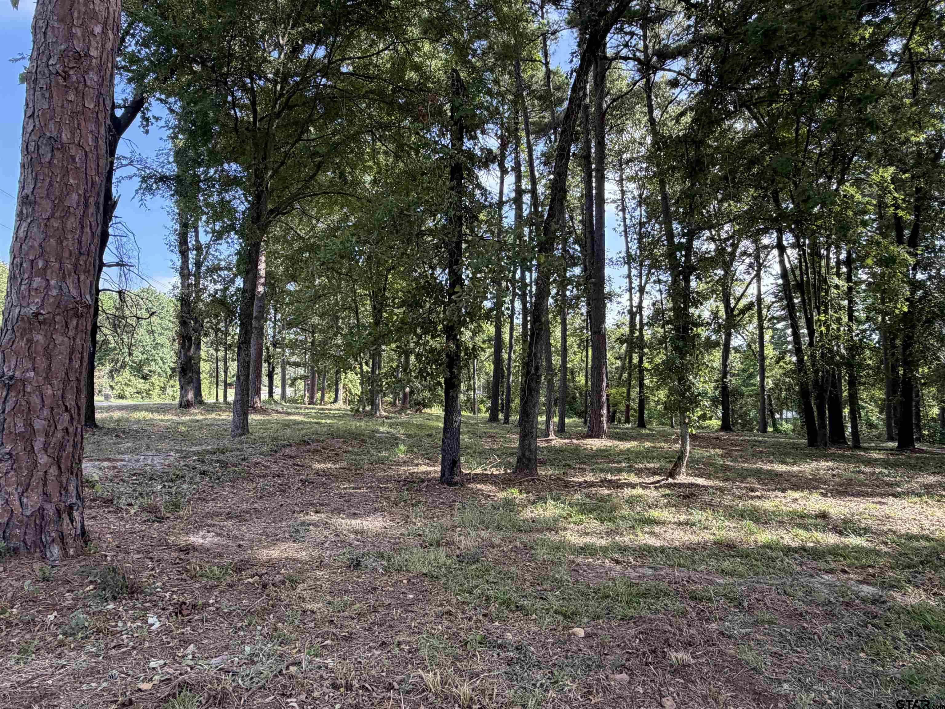 Tbd Tbd Wilson Road Tyler, TX 75707 - Photo 10 of 24 Gallery Image 10