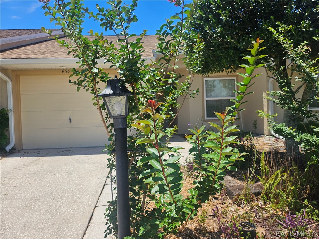 650 West Diamond Bird Loop Hernando, FL 34442 - Photo 25 of 26