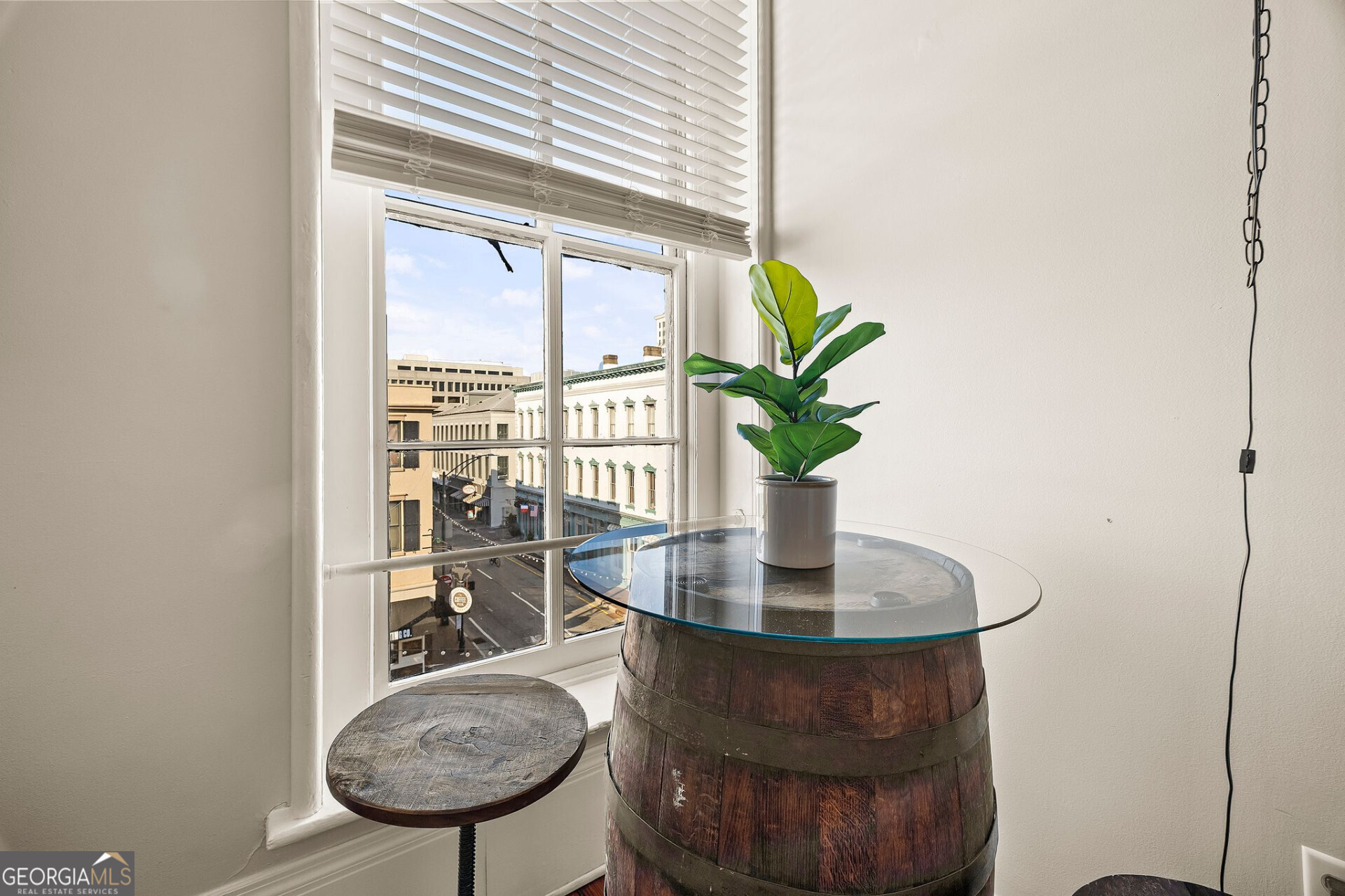 105 Whitaker Street, Unit 302 Savannah, GA 31401 - Photo 30 of 39 a view of a flower pot with a window