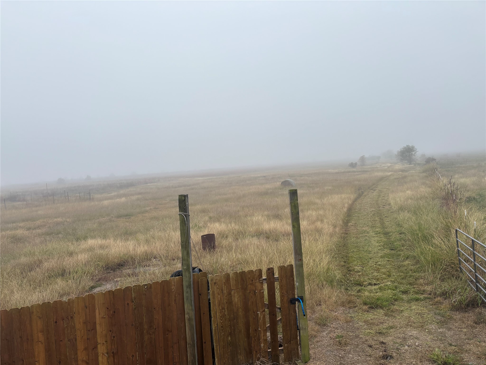 0 FM 365 Beaumont, TX 77705 - Photo 6 of 19 a view of a lake