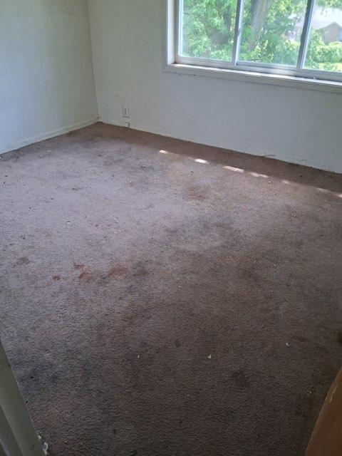 41 McCarthy Road Park Forest, IL 60466 - Photo 13 of 17 Gallery Image 13