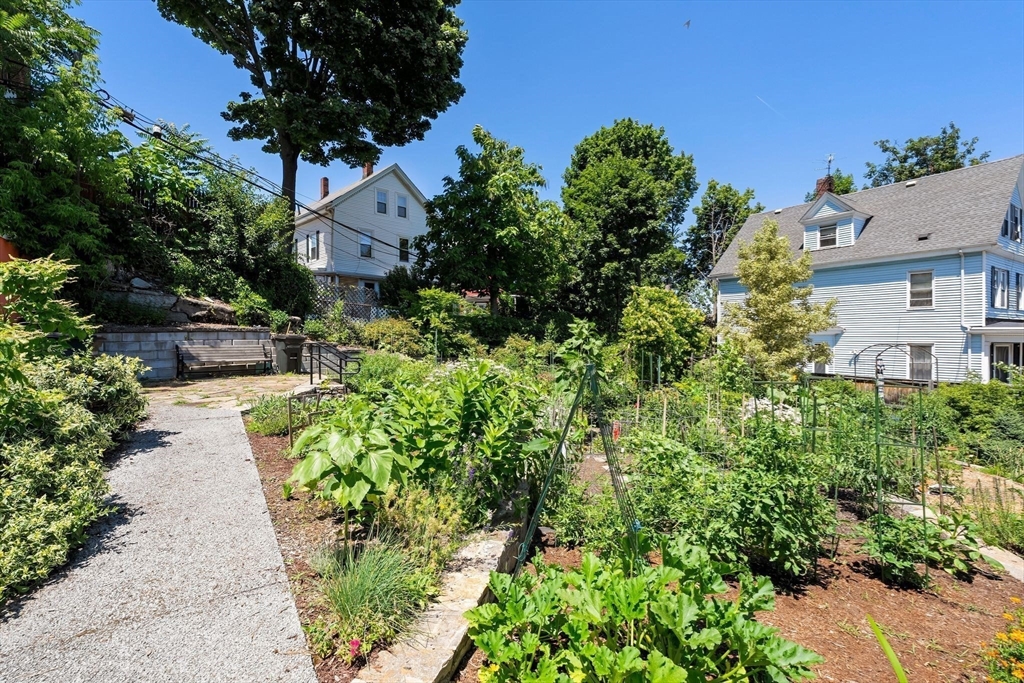 17 Windermere Road Boston, MA 02125 - Photo 35 of 38