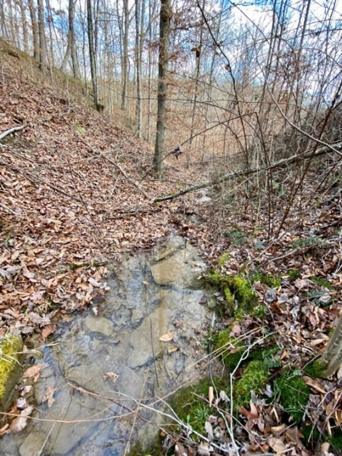 7950 Public Road Somerset, KY 42503 - Photo 10 of 29 10