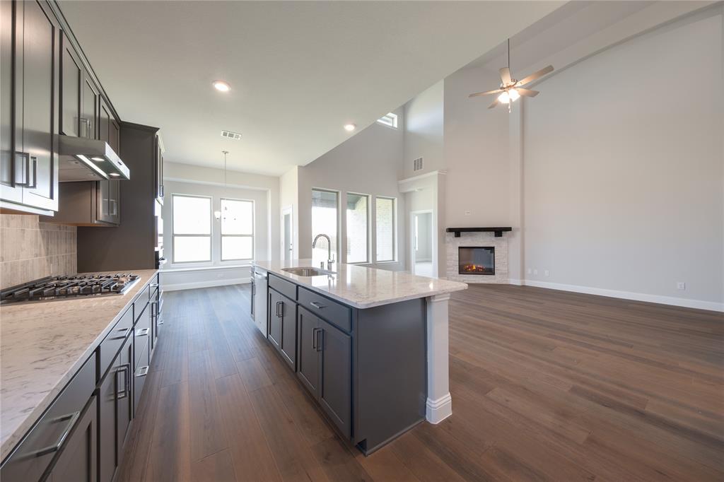 2913 Spg Vly Way Anna, TX 75409 - Photo 4 of 39 Kitchen