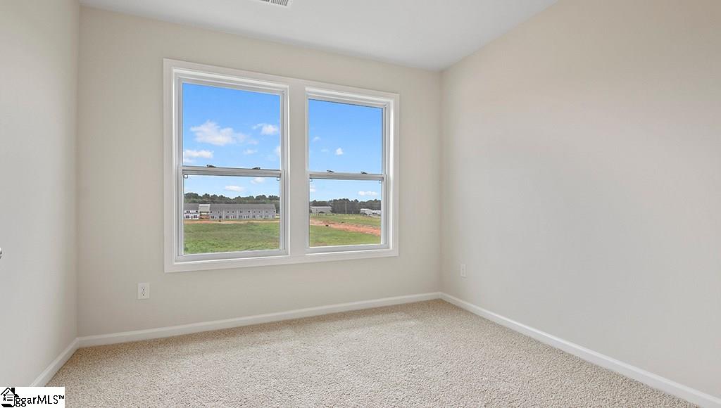 412 Yellow Fox Road, Unit 343 Greer, SC 29650 - Photo 18 of 19 Gallery Image 18