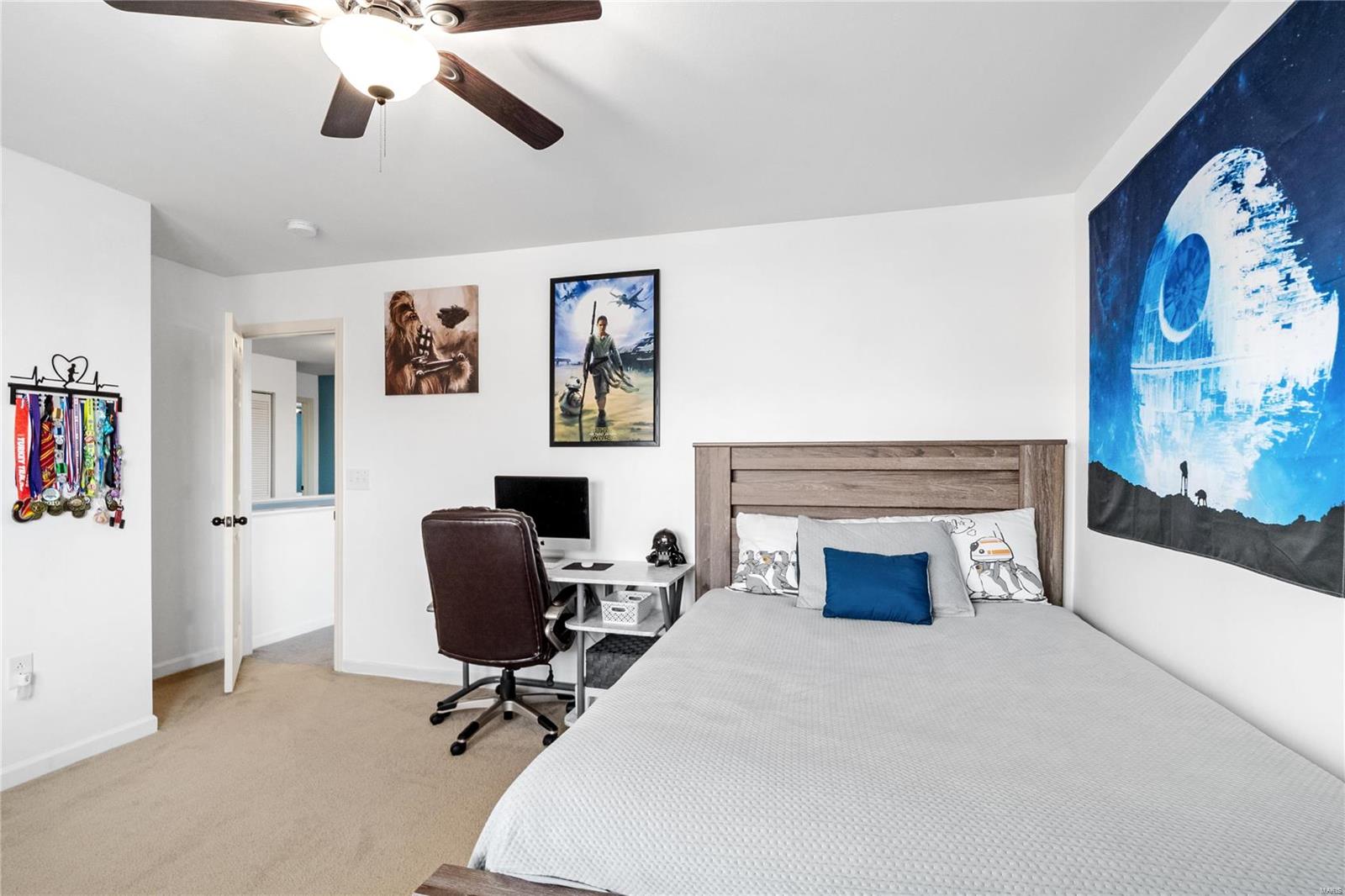 348 Falling Leaf Way Mascoutah, IL 62258 - Photo 9 of 11