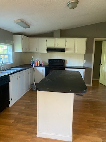 5683 Lakeview Road Springfield, TN 37172 - Photo 5 of 10 a kitchen with a sink a stove and cabinets