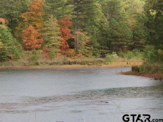 $179,000 | Lot 17 Acr 453, Montalba, TX 75853