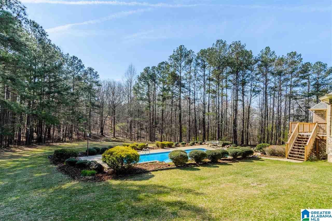 1400 Mountain View Lane Springville, AL 35146 - Photo 34 of 44