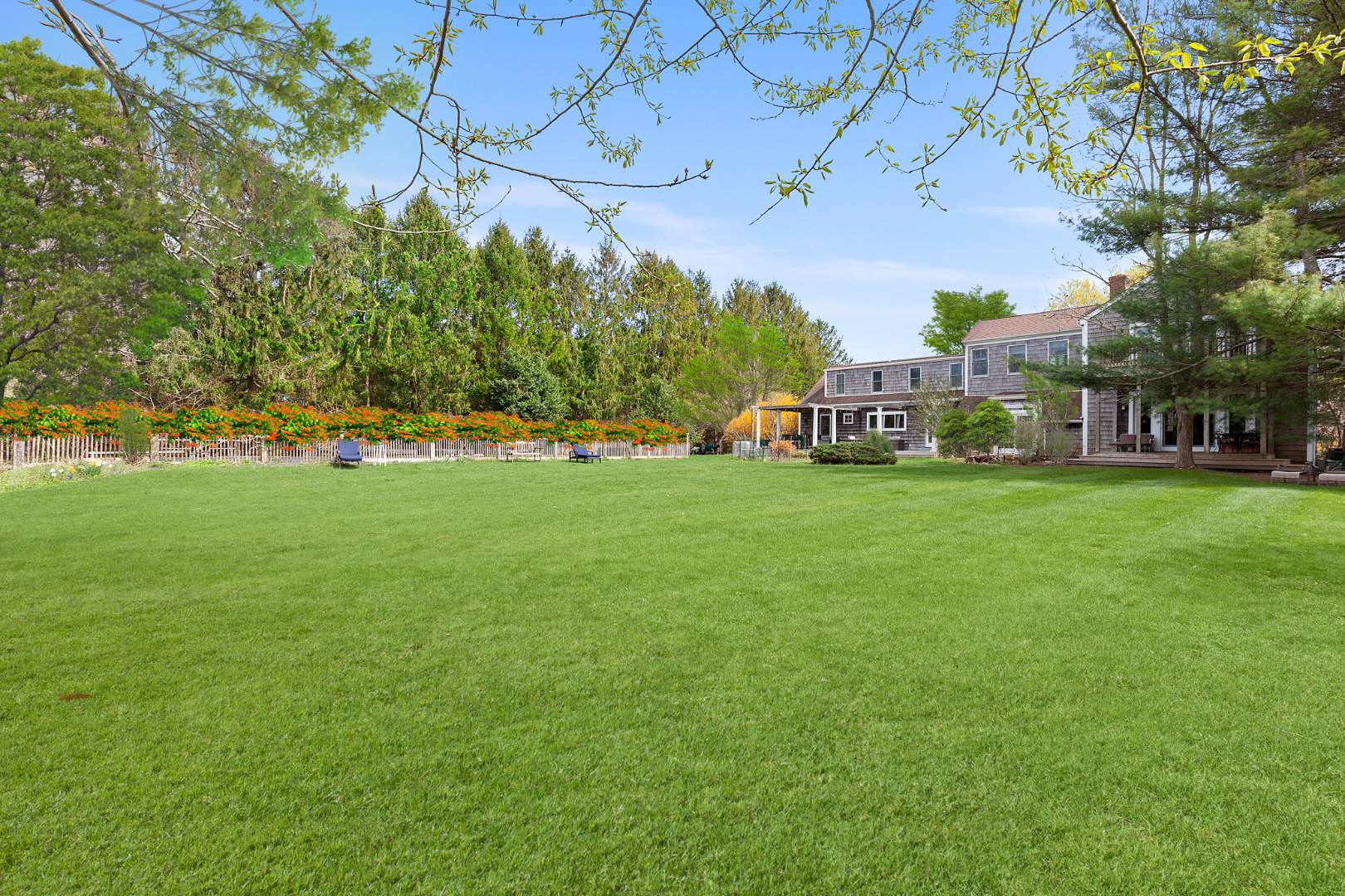 a view of a field of grass and trees