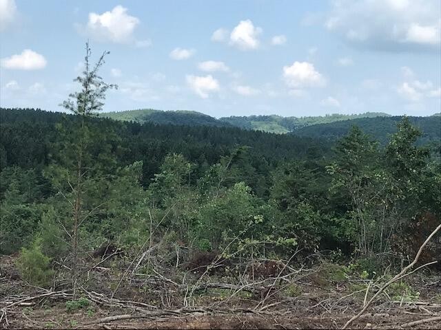 7 County Road 963 Calhoun, TN 37309 - Photo 9 of 10