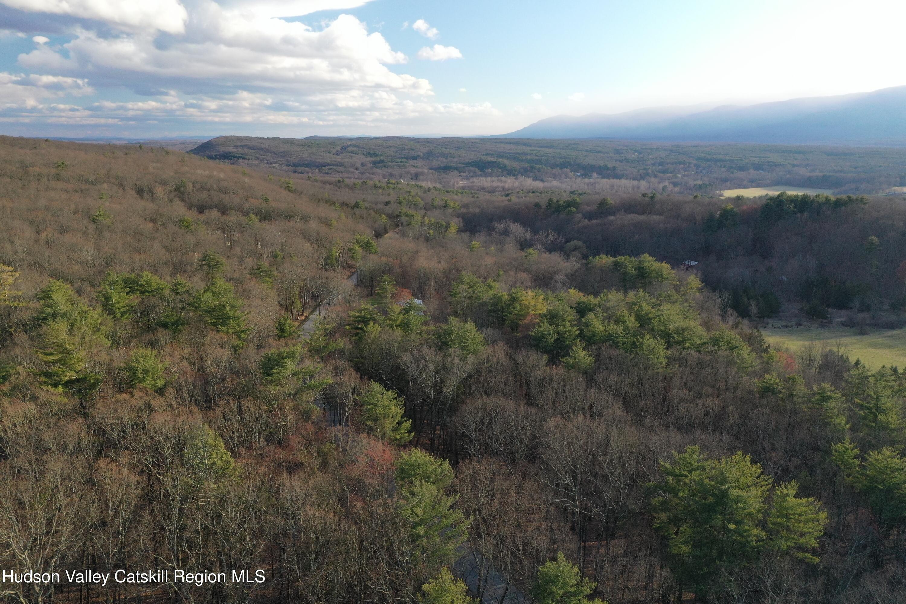 230 Potic Mountain Road Athens, NY 12414 - Photo 23 of 25 a view of a city with lush green forest