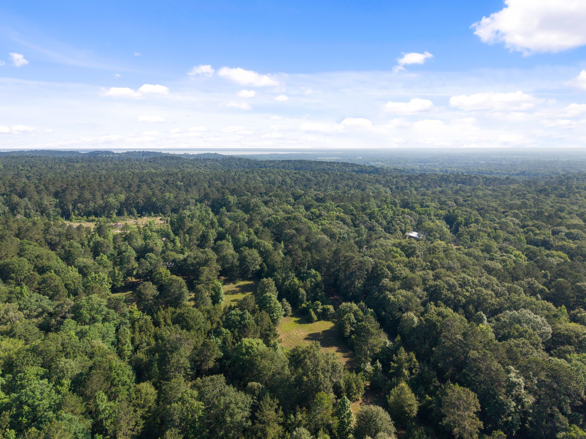 200 Spring Ridge Road Coldspring, TX 77331 - Photo 10 of 18 a view of a city with lush green forest