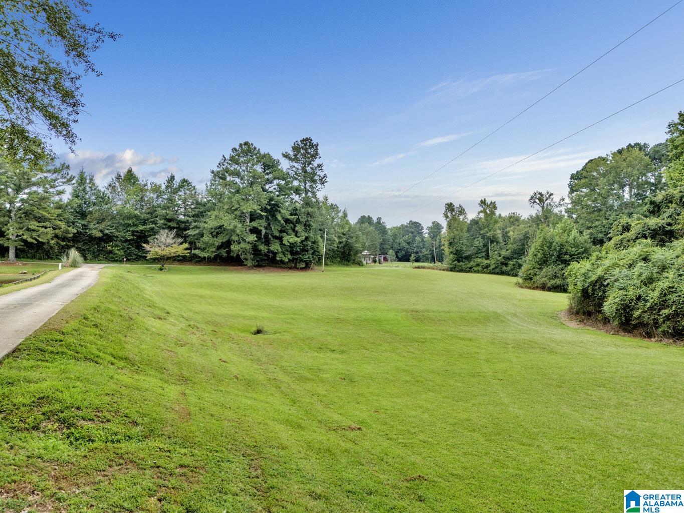 1695 Kent Road Oneonta, AL 35121 - Photo 44 of 70