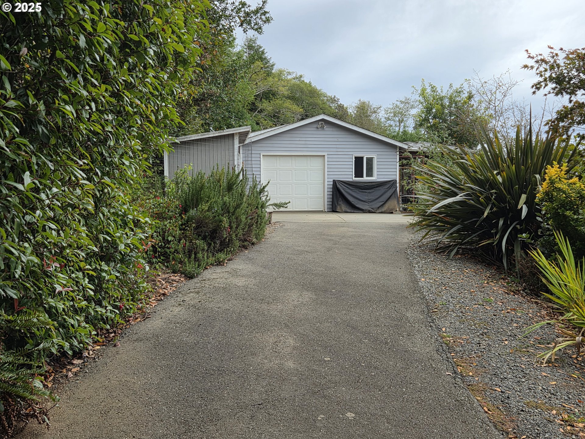 a view of a house with a small yard and a large tree
