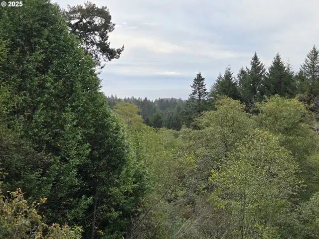 a view of a field of grass and trees