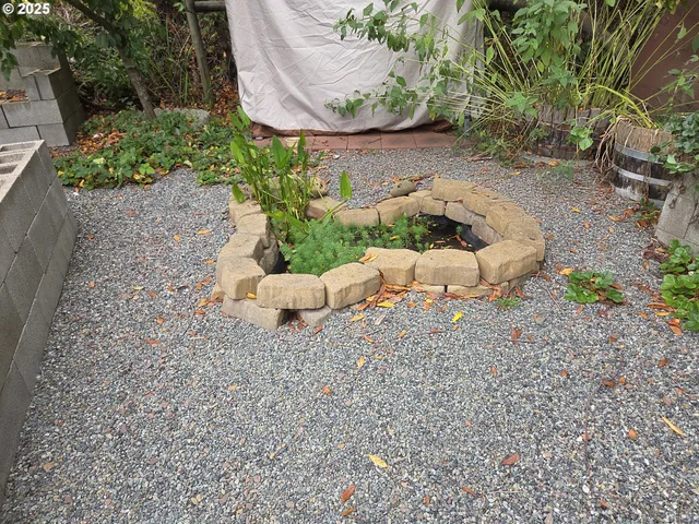 a view of a backyard with plants and trees