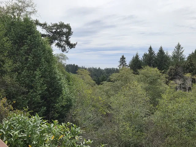 a view of backyard of house