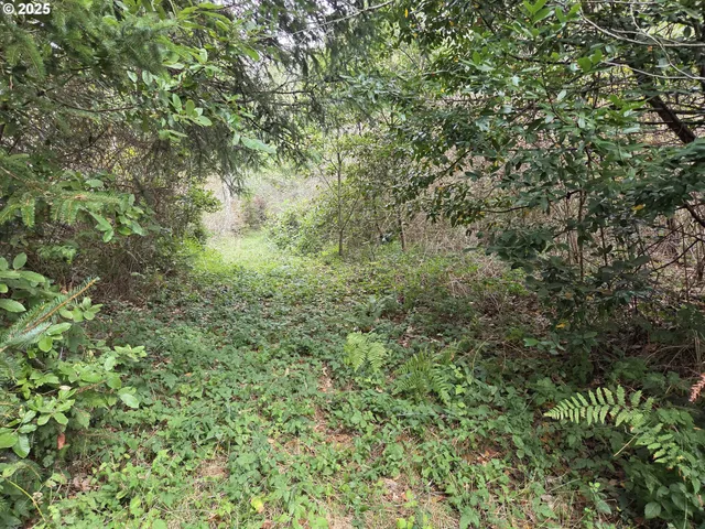 $425,000 | 96420 Alder Ridge Road, Brookings, OR 97415