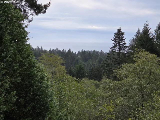 $425,000 | 96420 Alder Ridge Road, Brookings, OR 97415