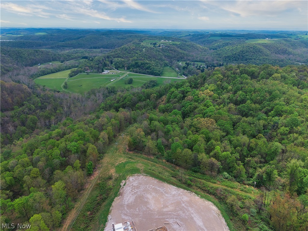0 Bealls Ridge Wellsburg, WV 26070 - Photo 42 of 46