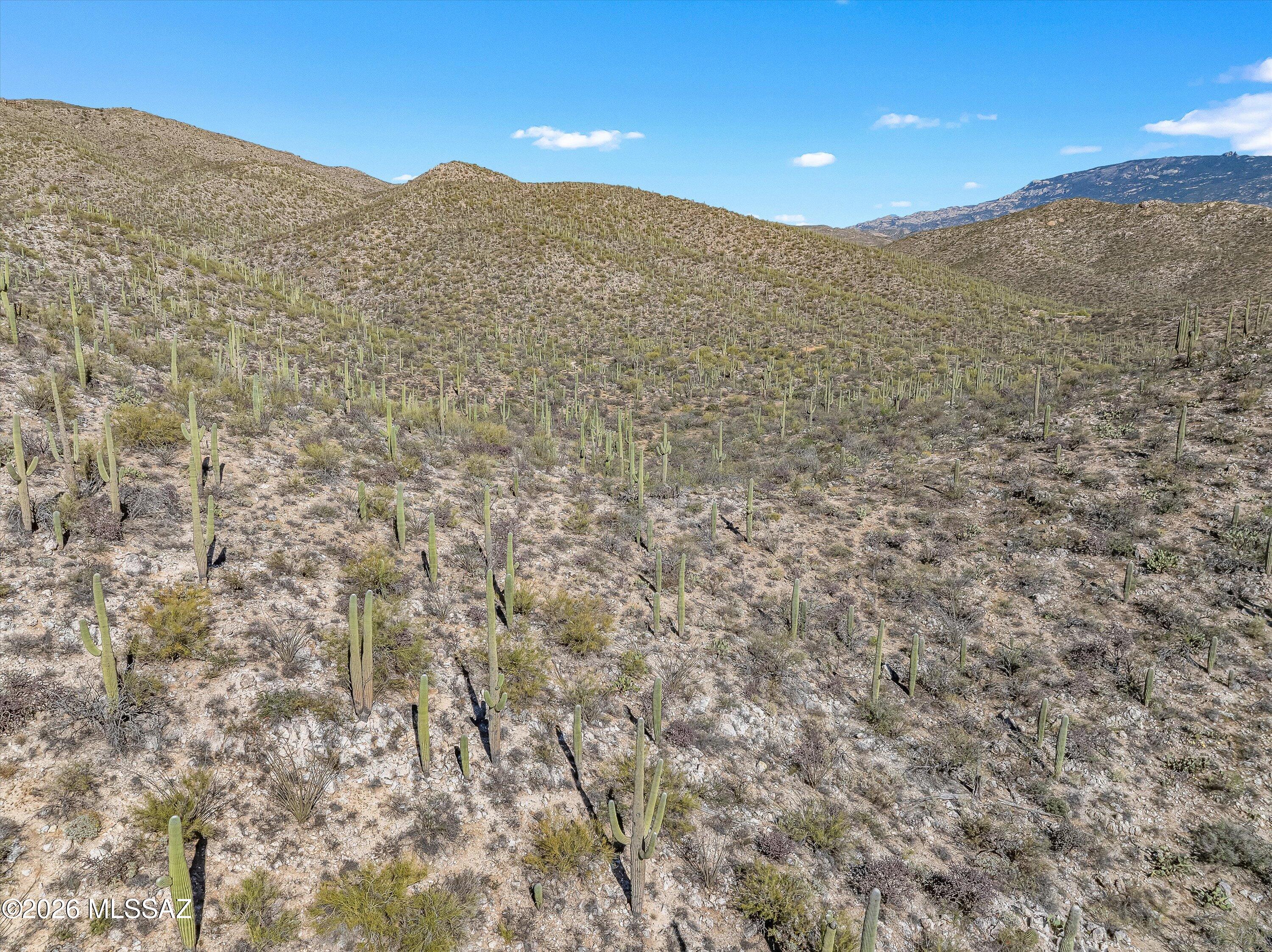 13716 Placita Del Inca, Unit 8 Tucson, AZ 85749 - Photo 23 of 37