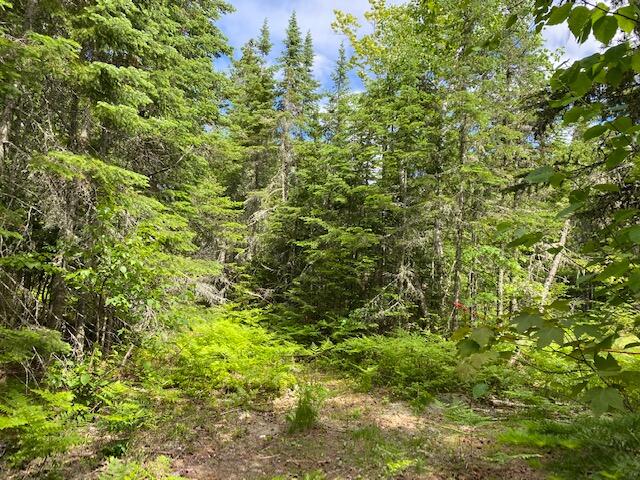 9682 North Whitefish Point Road Paradise, MI 49768 - Photo 5 of 11 Gallery Image 5