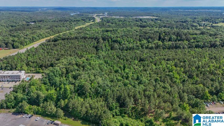 0 Jones Dairy Road Jasper, AL 35501 - Photo 10 of 14