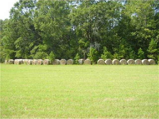 0 Springfield Tuscalum Springfield, GA 31329 - Photo 1 of 1 a view of a green field