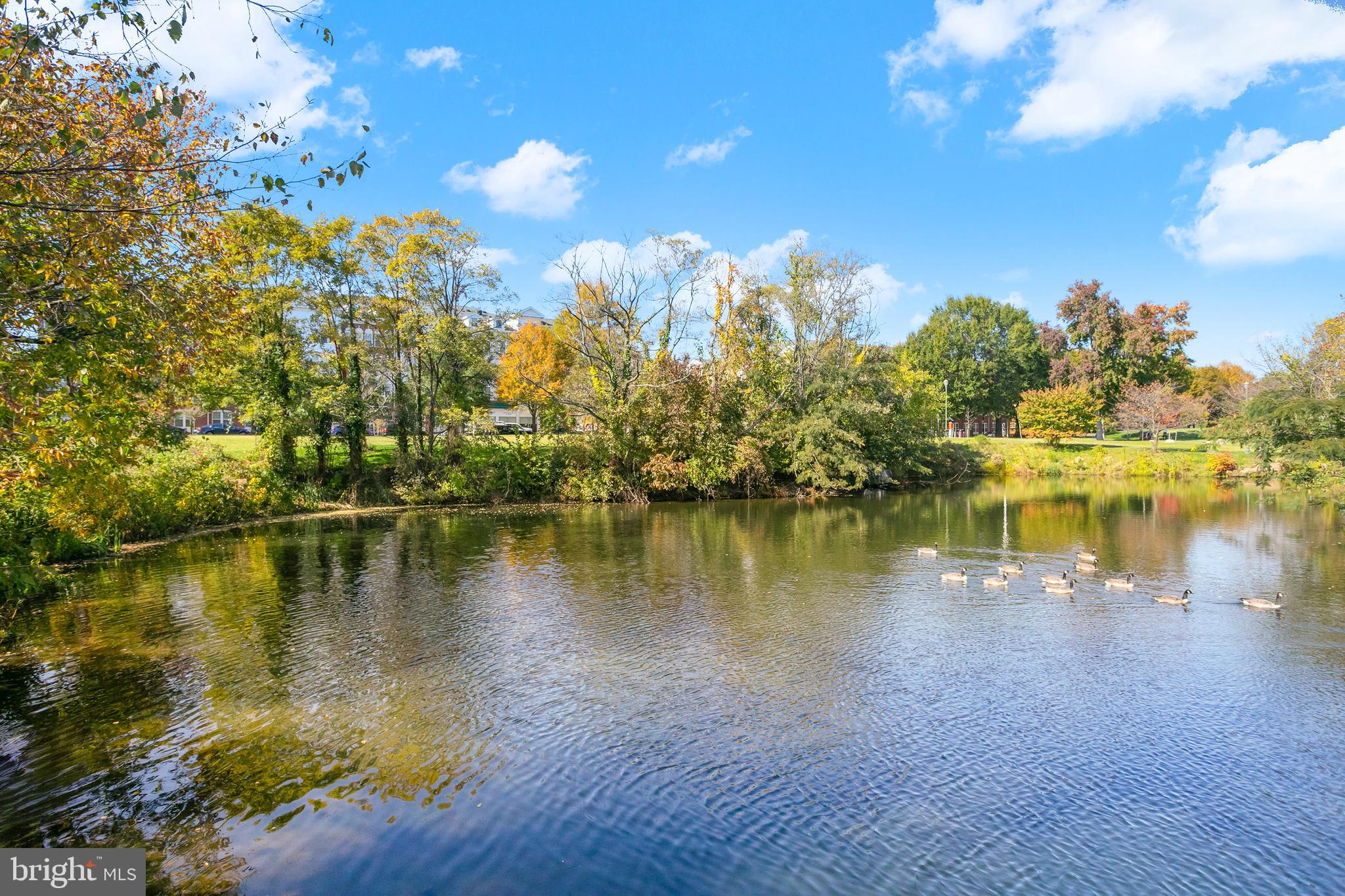 400 Cameron Station Boulevard, Unit 308 Alexandria, VA 22304 - Photo 45 of 46 a view of a lake with houses