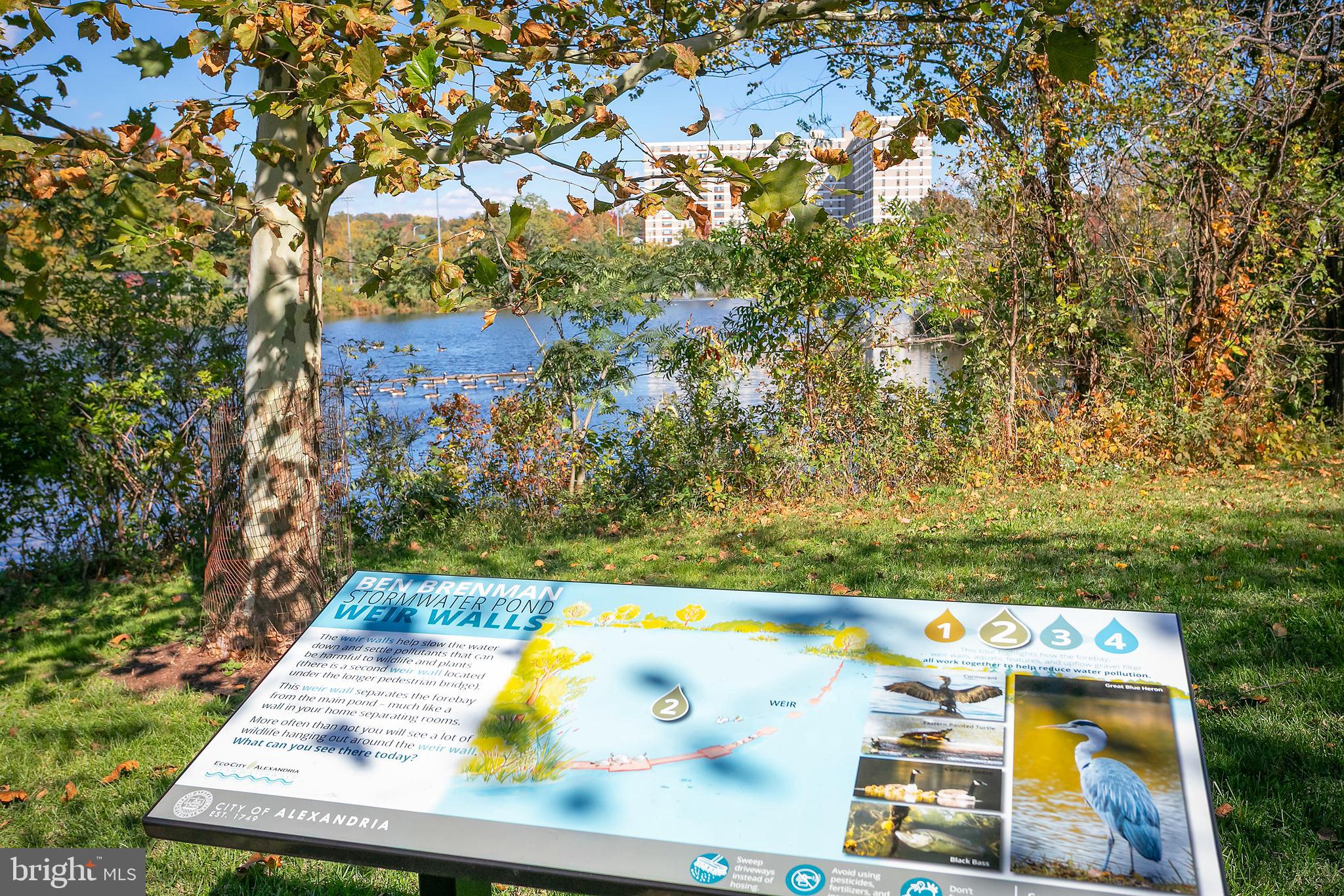 400 Cameron Station Boulevard, Unit 308 Alexandria, VA 22304 - Photo 46 of 46 a view of outdoor space and yard