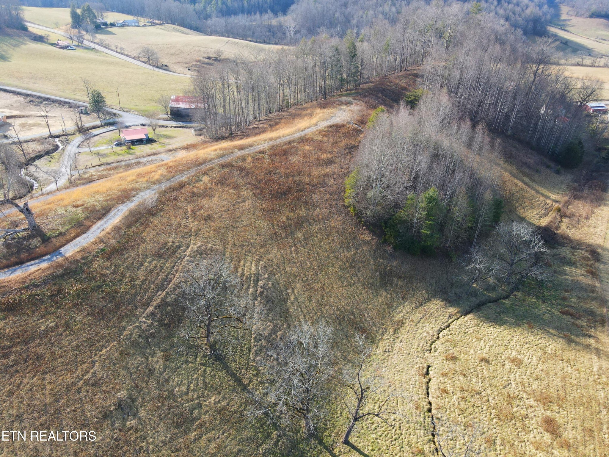 151 Timber Ridge Road Del Rio, TN 37727 - Photo 16 of 37 a view of a backyard of the house