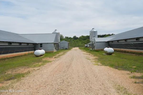 $2,300,000 | 53 Jones Chapel Road, Collins, MS 39428