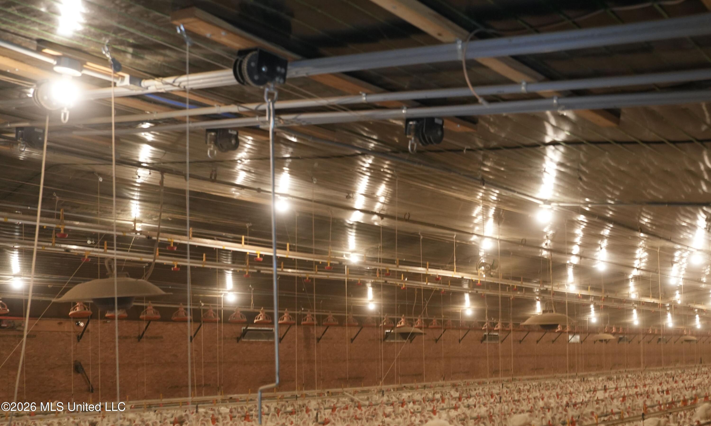 53 Jones Chapel Road Collins, MS 39428 - Photo 2 of 46 DSC02046