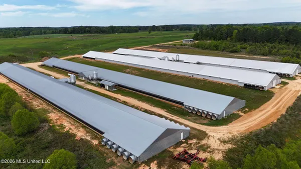 $2,300,000 | 53 Jones Chapel Road, Collins, MS 39428