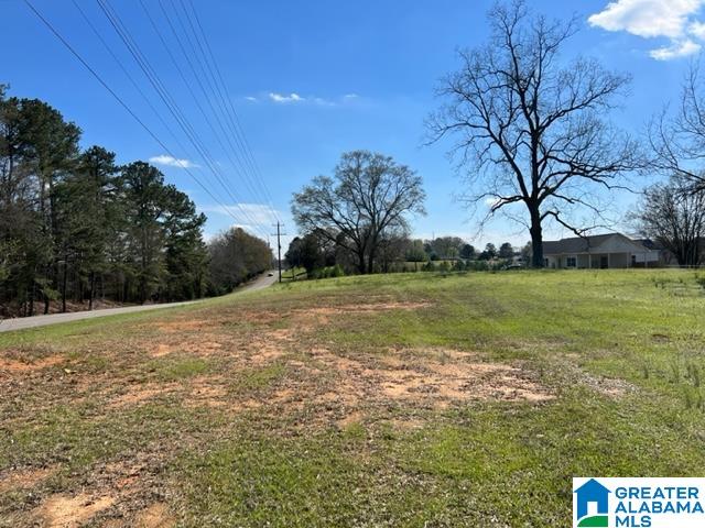 0 Holly Hills Road Lincoln, AL 35096 - Photo 3 of 5