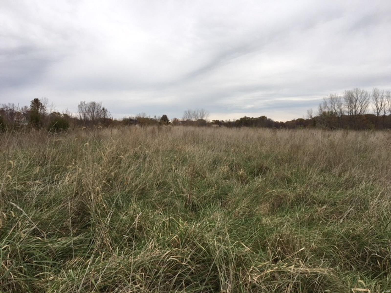 2353 Trout Camp Road Waterloo, IL 62298 - Photo 1 of 5