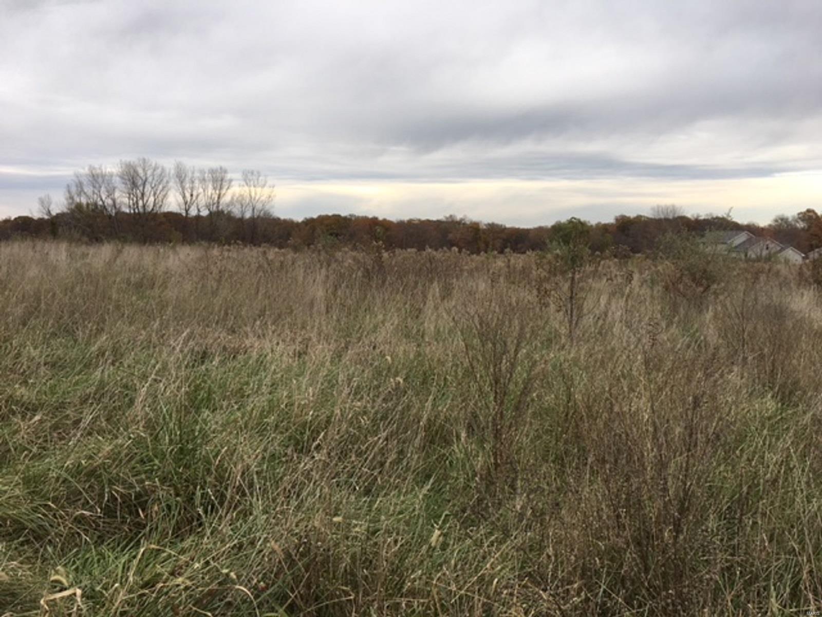 2353 Trout Camp Road Waterloo, IL 62298 - Photo 2 of 5
