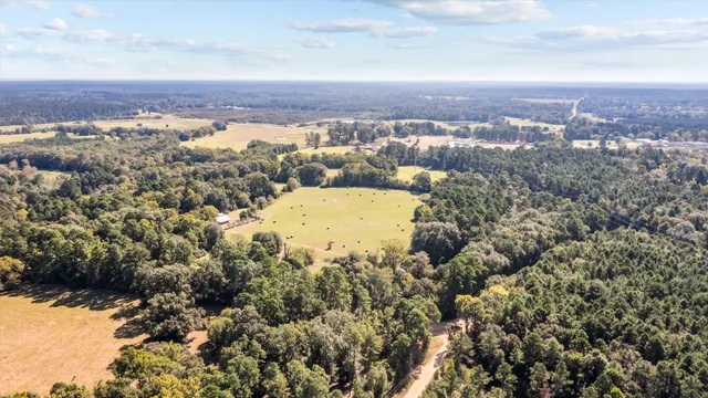 a view of a city with ocean